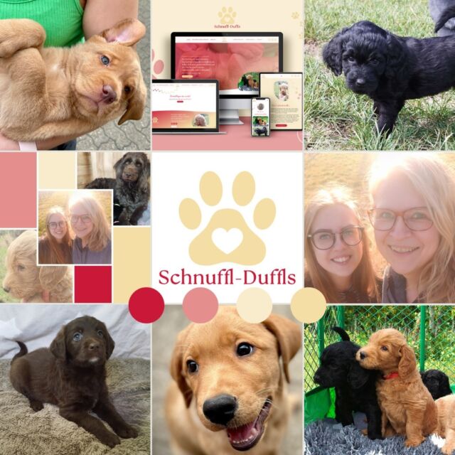 Heute hört Ihr von mir mal nix, außer einem verzückten Quieken... DENN: Die neue Website von den Schnuffl-Duffls ist live gegangen. Bei ihnen ist der Name Programm, denn Annette und Sabrina von @die_schnufflduffls und @von_den_schnuffl_duffls in Edesheim züchten mit Herz und Seele die süßesten Labradoodle-Welpen. 🐶

Die beiden sind bestens ausgebildet, machen das höchst ethisch, professionell und mit größter Hingabe für jede ihrer vierbeinigen Fellnasen. Da wird jede zukünftige Familie oder jeder Adoptivmensch mit Liebe ausgesucht und auch nach dem Umzug ist ihnen die Verbindung zu ihren Zöglingen wichtig. 

Ihnen fehlte noch eine schöne Website, die Sabrina und Annette selbst und ihre wunderbaren Labradoodles / Labradore widerspiegelte, aber ihnen auch hilft, neue Welpen vorzustellen und so die passenden "Adoptiveltern" zu finden. Aber sie möchten auch informieren, denn einen vierbeinigen Freund im eigenen Zuhause aufzunehmen, bedarf einer bewussten Entscheidung, Kosten für Versicherung, Impfungen, Steuern & Co. sowie Zeit, Pflege und ganz viel Aufmerksamkeit, denn Labradoodles sind wissbegierig und verspielt. 

Für den Aufbau der Website kam eines der vorgefertigten (und komplett anpassbaren) Design-Templates (WordPress) von @deinfrauraum.de und mir zum Einsatz. Das Template heißt "Green Blossom", ist aber nach der Überarbeitung kaum noch erkennbar, weil alles so im Schnuffl-Duffl-Look erstrahlt ist. 🤩 Durch das Template konnten wir die Seite auch super schnell live setzen, so dass Ihr direkt schon teilhaben könnt an den ersten Erfahrungen der neuen Welpen, DENN: Vor einigen Tagen hat die süße Ella (eine Golden Retriever-Hündin) zuckersüße Welpen zur Welt gebracht, die bald ein liebevolles Zuhause suchen. Für eine lebenslange Verbindung❤️

Bei Welpenfragen meldet Euch bei Annette und Sabrina 😊, bei Website-Fragen bei mir oder den Ladies von Dein Frauraum. ❤️
*
#labradoodle #welpenzucht #labrador #edesheim #schnufflduffls #webdesign #websitetemplate #sichtbarkeit #hundezucht #hundezüchter #rheinlandpfalz #pfalz #welpen #puppylove #wordpress #foreverhome