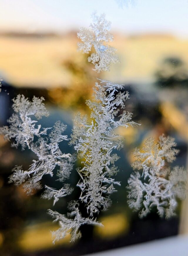 Es wintert sehr... ❄️
#winteriscoming #frost #lifesgood #mindstyle